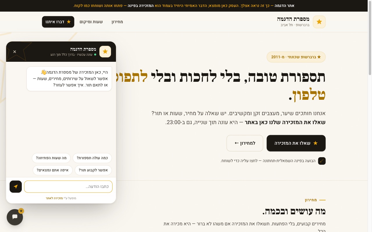 צילום מסך של מזכירה לאתר — ווידג׳ט הצ׳אט פתוח על אתר הדגמה